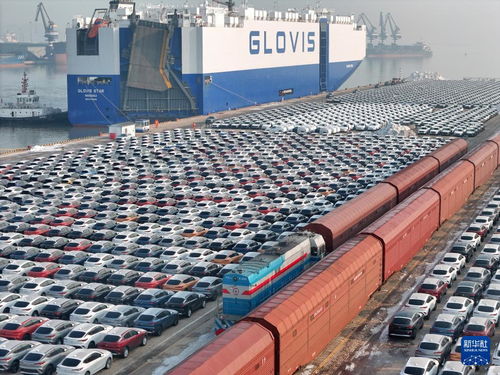 新年伊始港口货轮进出 作业码头运输车辆穿梭